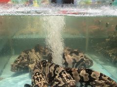 -阿伟海鲜楼·福建菜(延寿店)