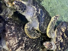 -福州罗源湾海洋世界旅游区