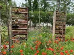 -前小桔亲子创意农场·草莓采摘·露营烧烤