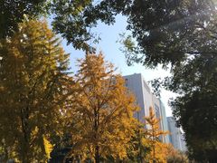 -中粮福临门