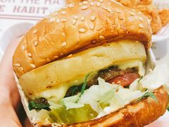 -The Habit Burger Grill 哈比特汉堡(复兴soho店)