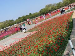 -北陵公园