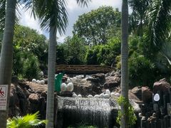 -100蛋泥浆浴