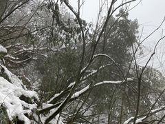 -九峰山