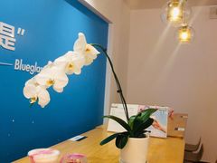 -Blueglass酸奶(华贸购物中心店)