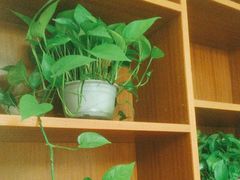 -渔乡米香·剁椒鱼头(四方坪店)