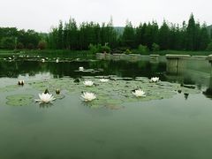 景点-云龙湖旅游景区