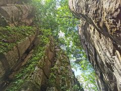 -山王坪喀斯特国家生态公园