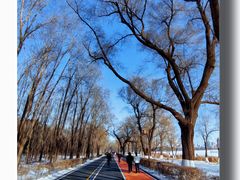 -长春市南湖公园