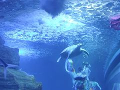 -多彩贵州城极地海洋世界