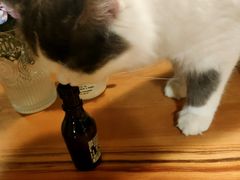 -Cappucimeow猫咪咖啡馆(韦伯时代店)