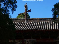 -建水文庙