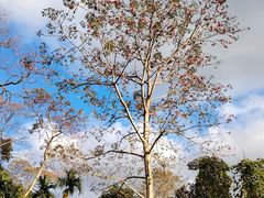 -七仙岭温泉国家森林公园