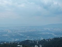 -大金鹰园