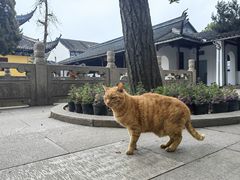 -西园戒幢律寺