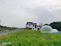 -MUSEO COFFEE咖啡博物馆