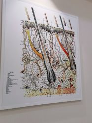 -雍禾植发全国连锁