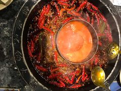 -蜀大侠火锅(建设路第五大道店)