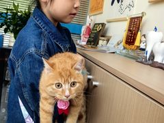 -美迦爱-牙专科·兔科·骨科诊疗中心(北苑店)