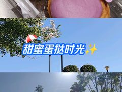 -东莞植物园