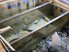 -缘福乡村铁锅炖民宿(八达岭店)