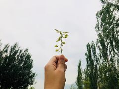 -北京雁栖湖国际会展中心