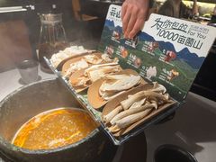 -芸山季·云南野生菌火锅(人民广场来福士店)