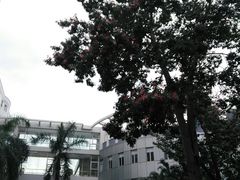 -广东省中医院(芳村医院)