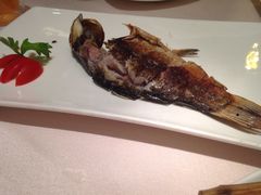 -粗茶淡饭·汉口公馆(循礼门店)