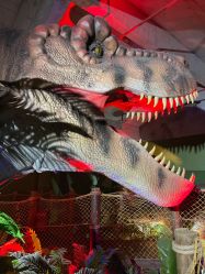 -恐龙探索乐园(磁器口店)