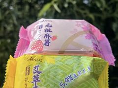 -GANSO元祖食品(锦创书城店)
