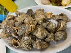 白灼海螺-常家活海鲜小吃(仅一家无分店)