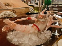 -斯普汇生蚝牛排馆(中骏世界城店)