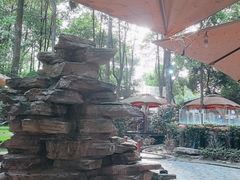 -二荆条·蜀鲜汇城市森林火锅