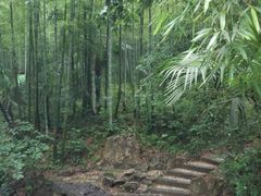 -镇江市南山风景名胜区竹林景区