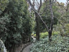 -秋霞圃