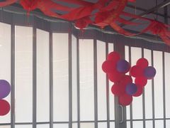 -后湖小院·乡野田园菜