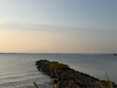 -芒洲湿地公园