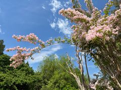 -国家植物园南园