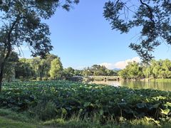 -承德避暑山庄景区