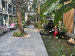 -宝生月子中心·私家园林式(龙华观澜店)