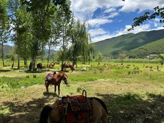 -泸沽湖国家级风景名胜区走婚桥