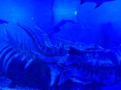 -波塞冬旅游度假区