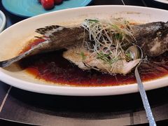-全聚德(双井店)