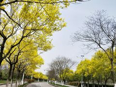 -尚贤河湿地