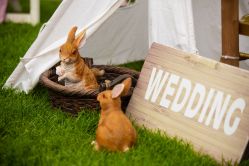 -花轿喜屋婚礼策划