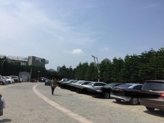 -龙凤头海滨浴场度假村-停车场