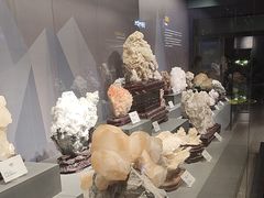 -湖南省地质博物馆