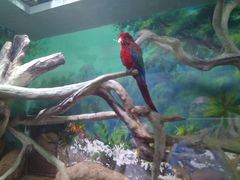 -福州罗源湾海洋世界旅游区