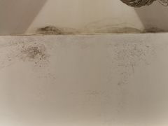 -候鸟水榕庄度假酒店